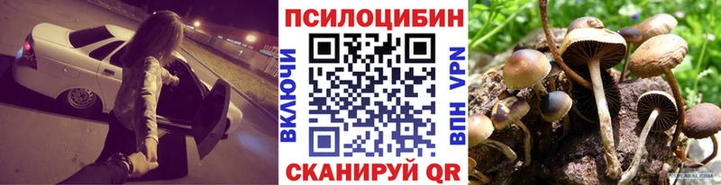 мориарти наркотические препараты Шебекино Псилоцибиновые грибы Cubensis