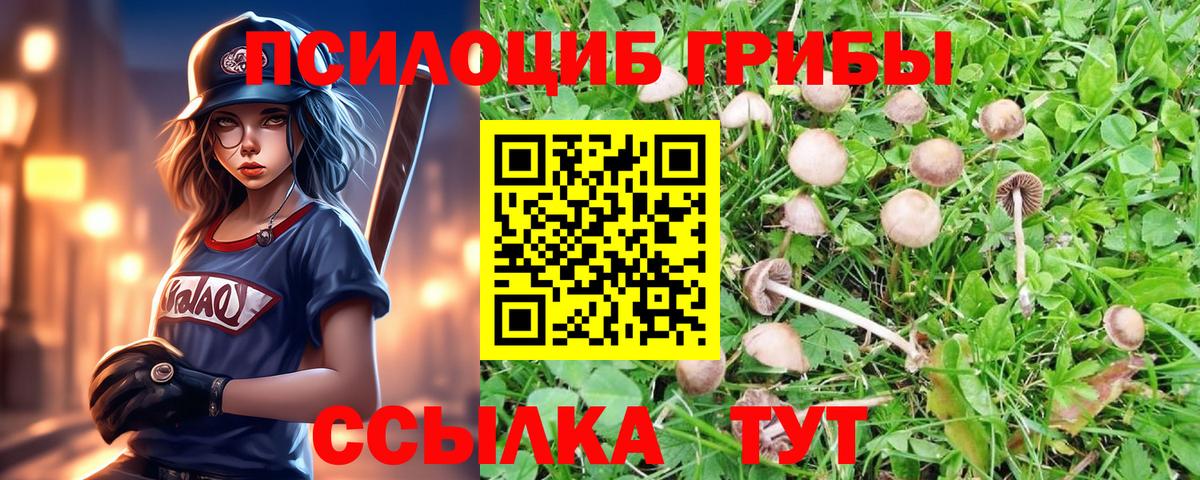 Псилоцибиновые грибы Magic Shrooms Шебекино
