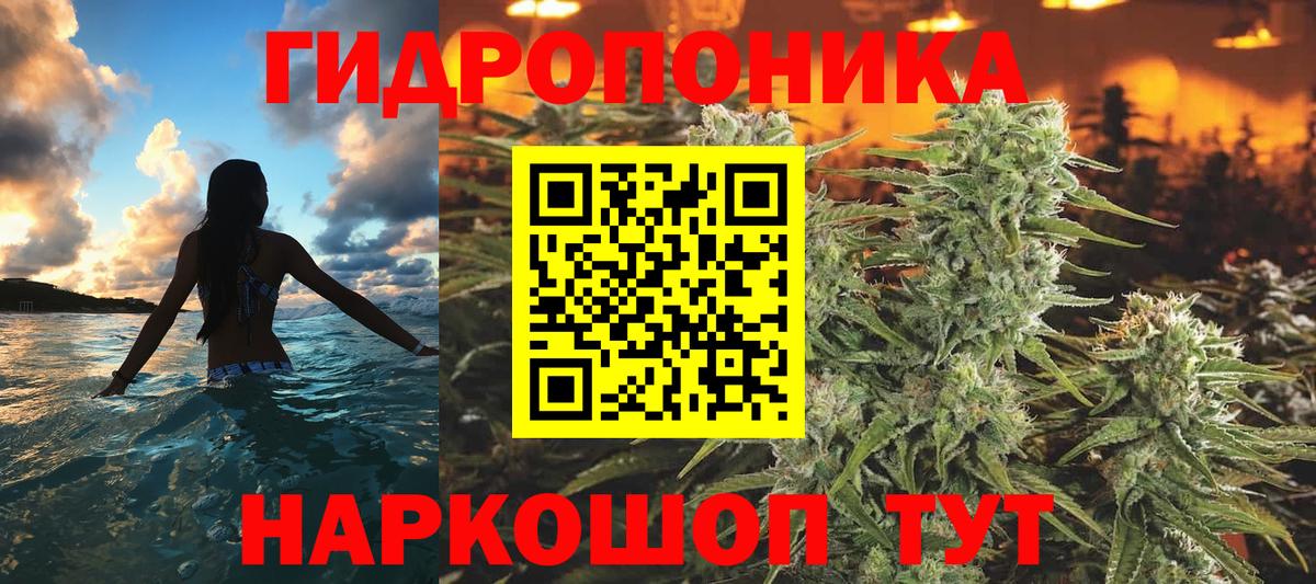 Бошки Шишки AK-47  Бошки Шишки тримм  Бошки Шишки MAZAR  Шебекино  Вход с VPN 